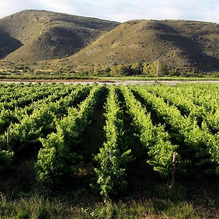 Tanagra Wine & Guestfarm Lägenhet McGregor Exteriör bild
