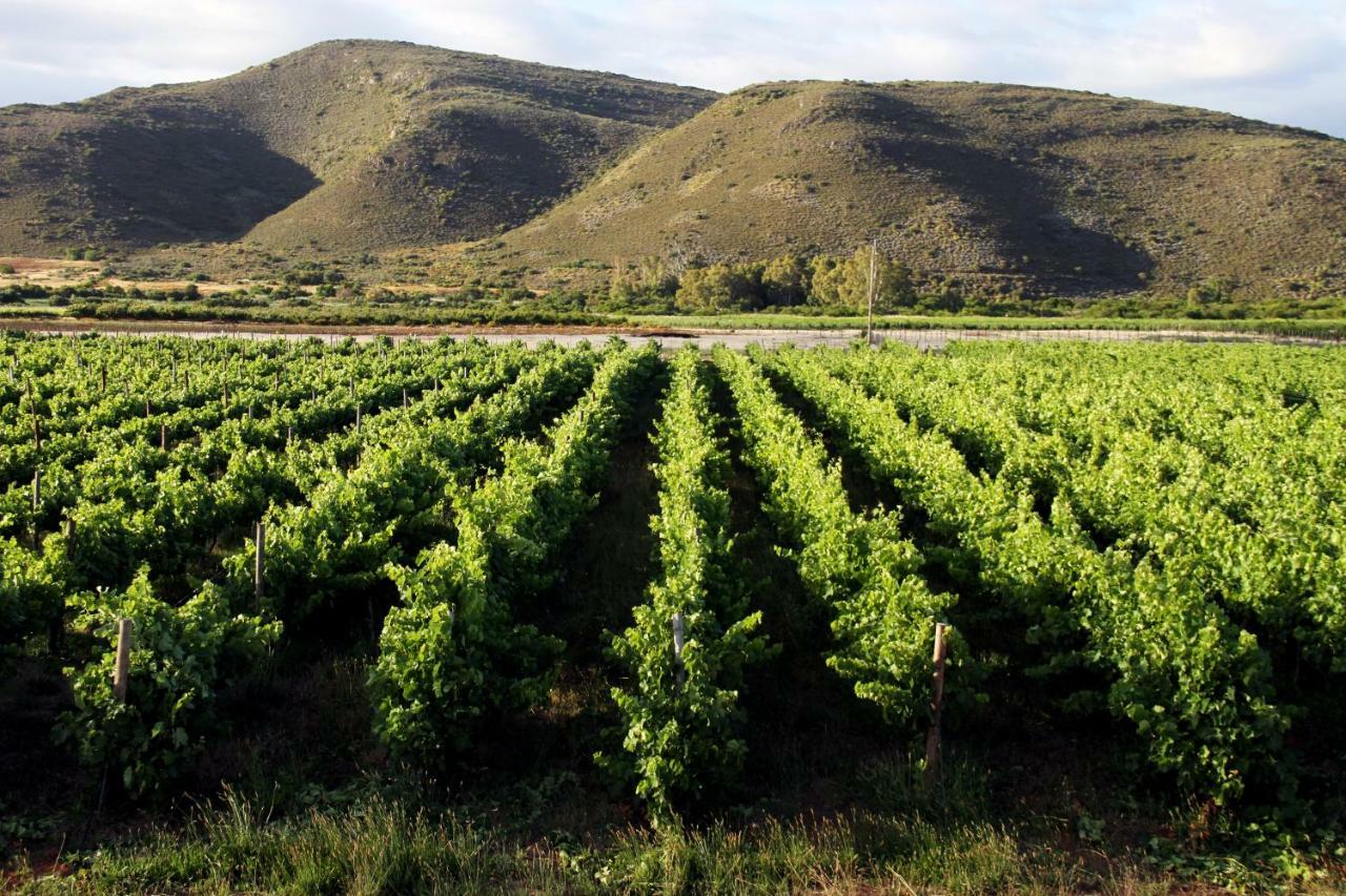 Tanagra Wine & Guestfarm Lägenhet McGregor Exteriör bild